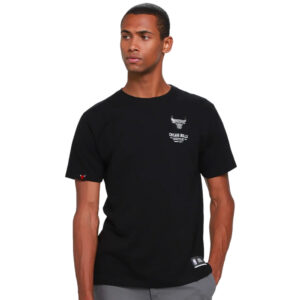 Camiseta Nba Masculina Chicago Bulls Iron